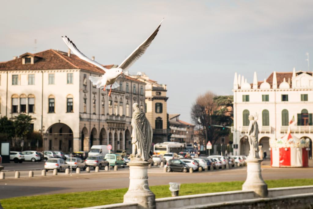 Myplace Prato Della Valle Apartments ปาโดวา ภายนอก รูปภาพ